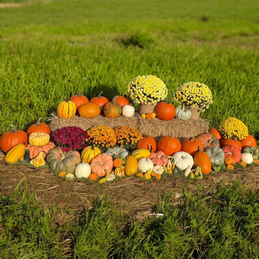 Grandeur - Extra Large